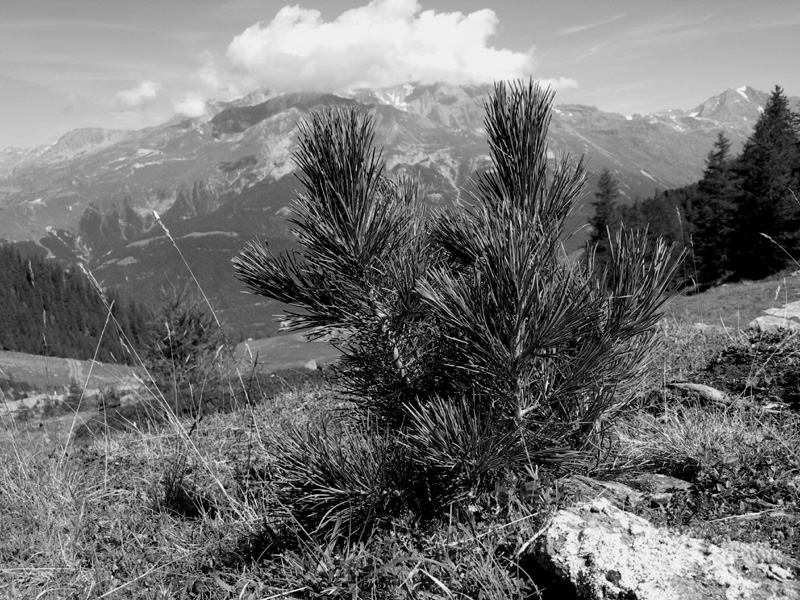 randonnees maurienne bramanette